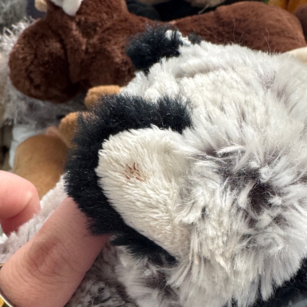 Webkinz Raccoon - Picture 5 of 6
